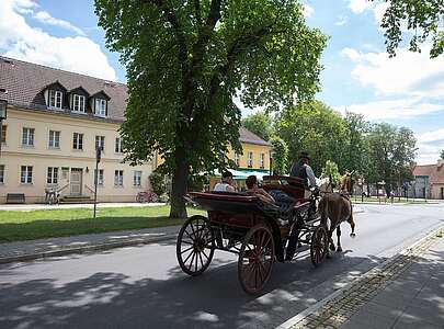 Kulturtour Rheinsberg, Pferdekutsche