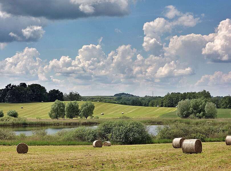 Moränenlandschaft im Biosphärenreservat Schorfheide-Chorin