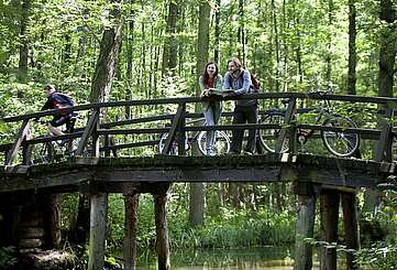 Radler im Spreewald