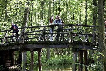 Radler im Spreewald