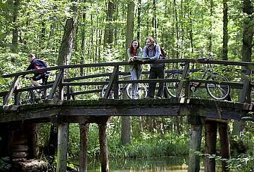 Radler im Spreewald