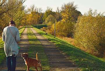 Wandern mit Hund