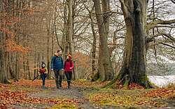Veranstaltungstipps Herbstferien