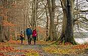 Veranstaltungstipps Herbstferien
