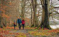 Veranstaltungstipps Herbstferien