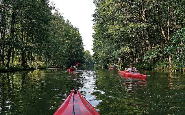 Kajaktour bei Schlepzig