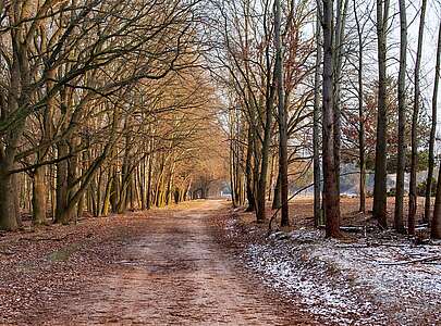 Wanderweg im Naturpark Nuthe-Nieplitz