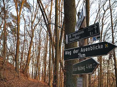Densenberge Weg der Auenblicke