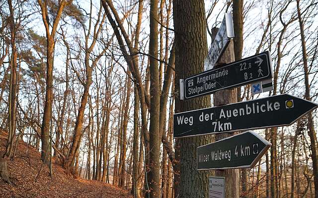 Densenberge Weg der Auenblicke