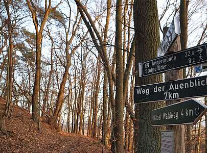Densenberge Weg der Auenblicke