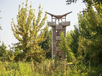 Beobachtungsturm Mescherin