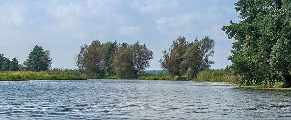 Blick auf die Löcknitz