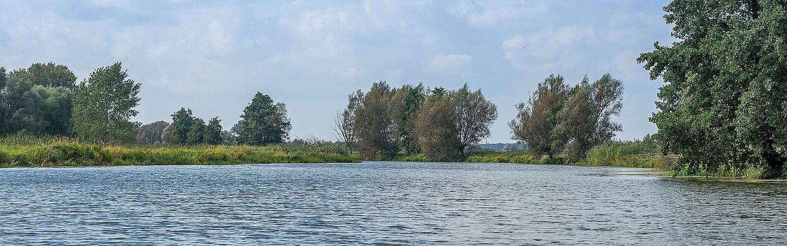 Blick auf die Löcknitz