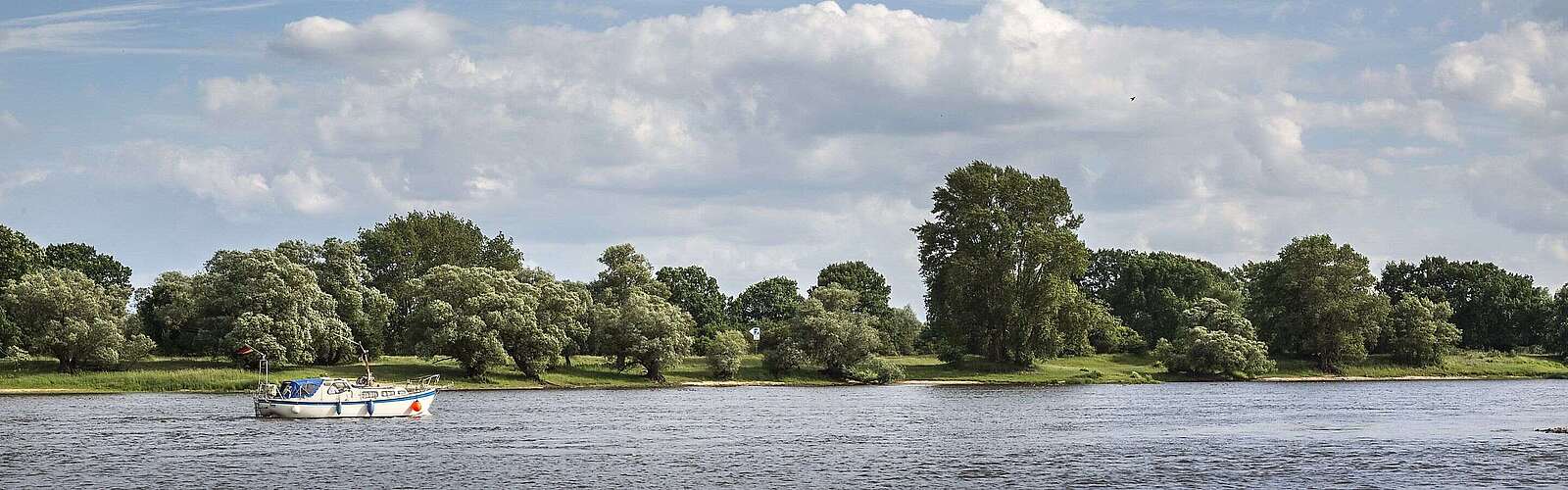 Elbe bei Lenzen
