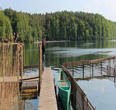 Steg am Großen Stechlinsee