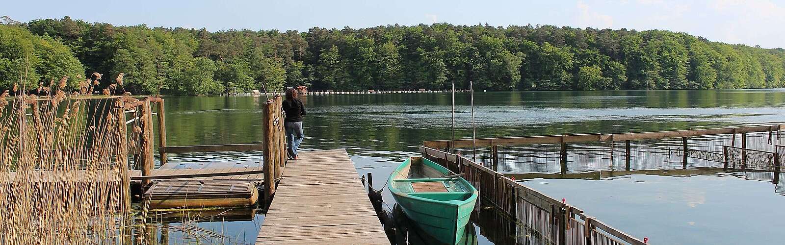 Steg am Großen Stechlinsee