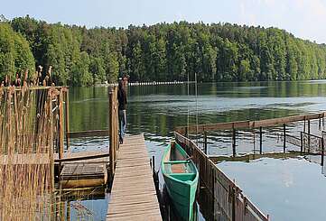 Steg am Großen Stechlinsee