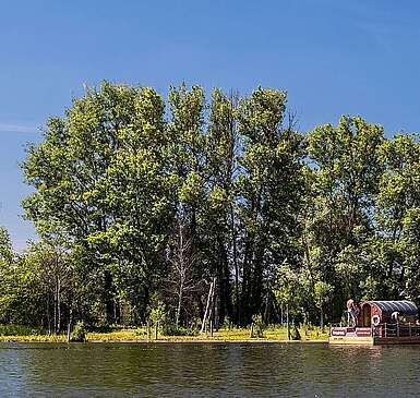 Floß auf der Havel