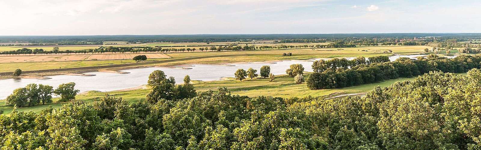 Blick über die Elbauen
