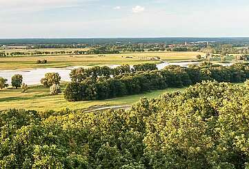 Blick über die Elbauen