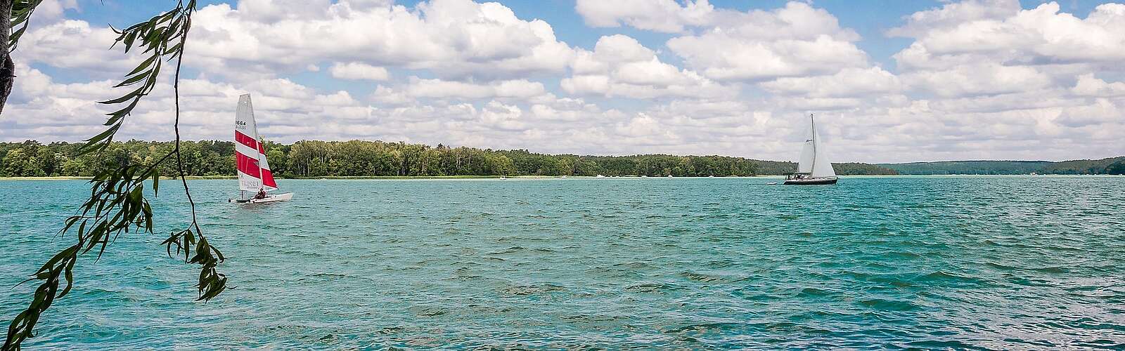 Am Werbellinsee