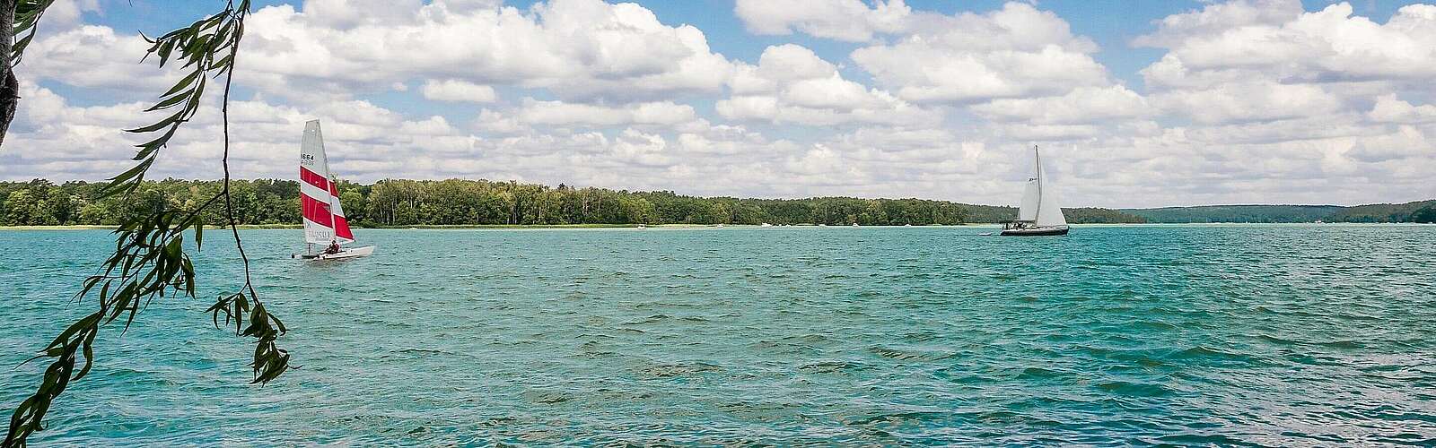 Am Werbellinsee