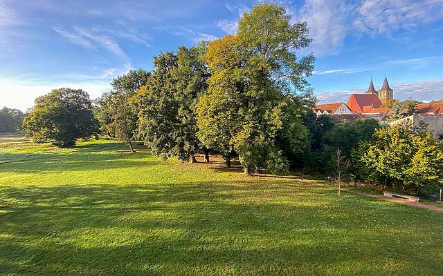 Schlosspark_und_Kirche.jpg