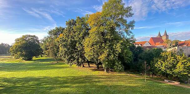 Schlosspark_und_Kirche.jpg