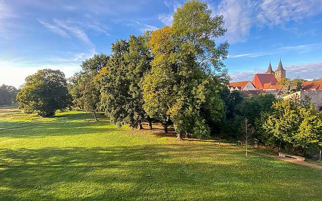 Schlosspark_und_Kirche.jpg