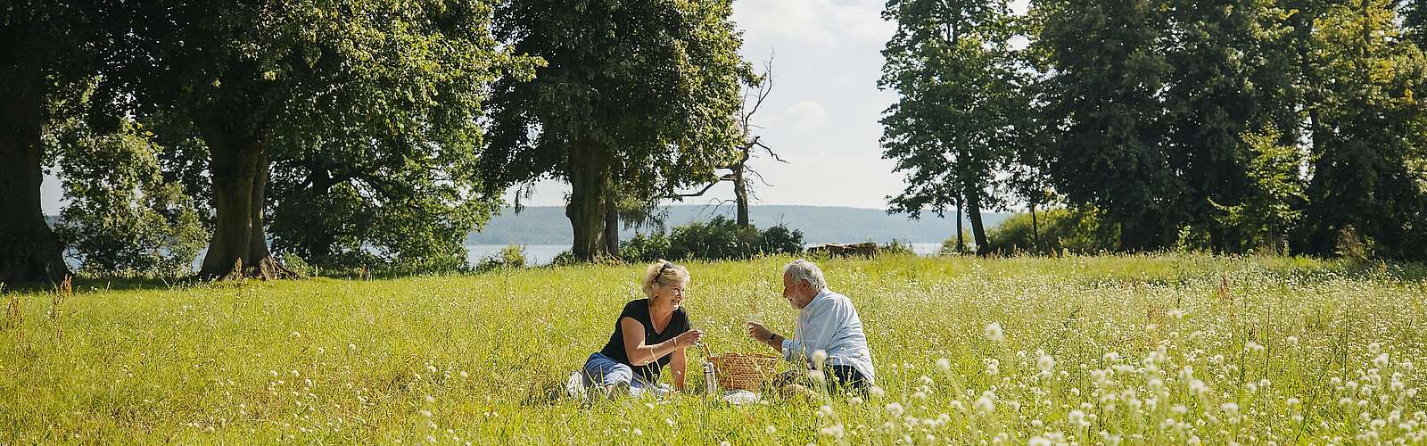 Picknick auf der Blumenwiese