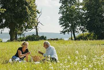Picknick auf der Blumenwiese
