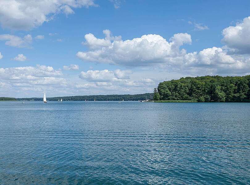 Segelboote auf dem Werbellinsee