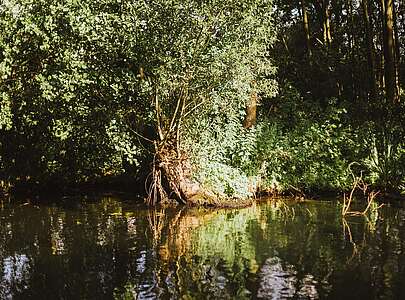 Floßtour auf dem Schwielochsee