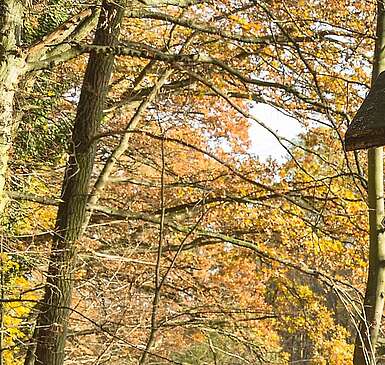 Naturpark Märkische Schweiz: Wandern für die ganze Familie