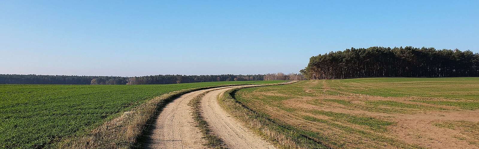 Feldweg im Naturpark Niederlausitzer Landrücken