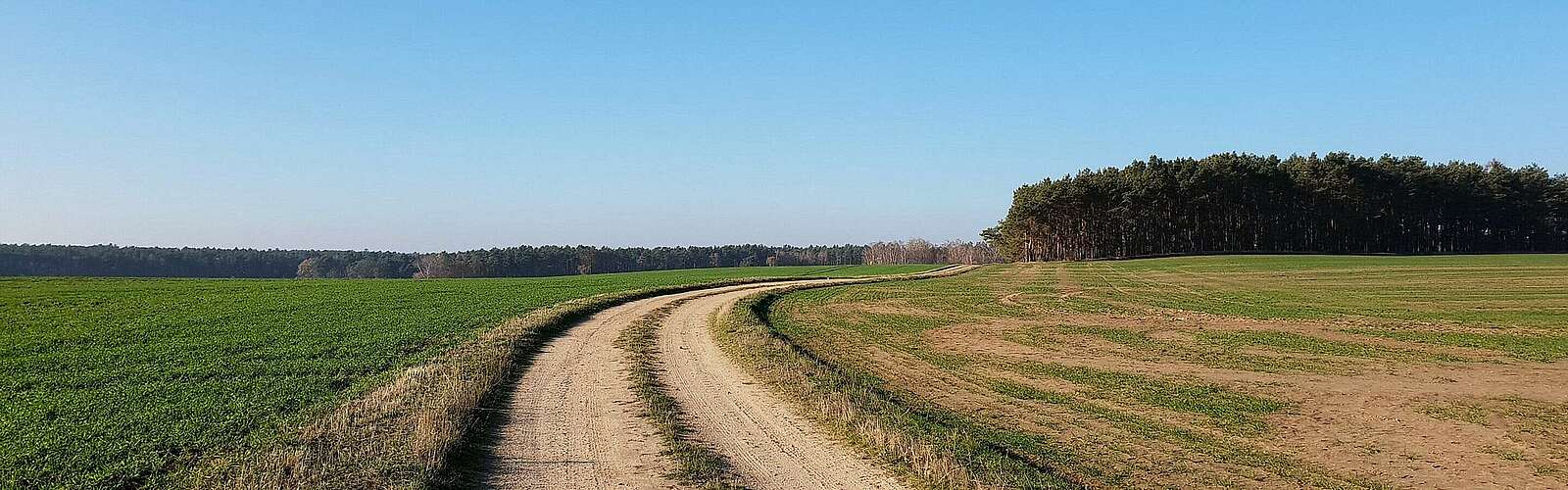 Feldweg im Naturpark Niederlausitzer Landrücken
