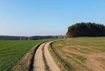 Feldweg im Naturpark Niederlausitzer Landrücken