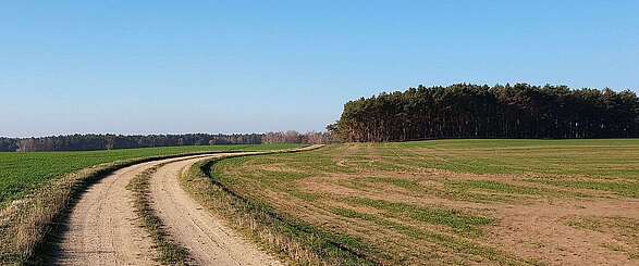 Feldweg im Naturpark Niederlausitzer Landrücken