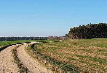 Feldweg im Naturpark Niederlausitzer Landrücken