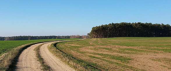 Feldweg im Naturpark Niederlausitzer Landrücken