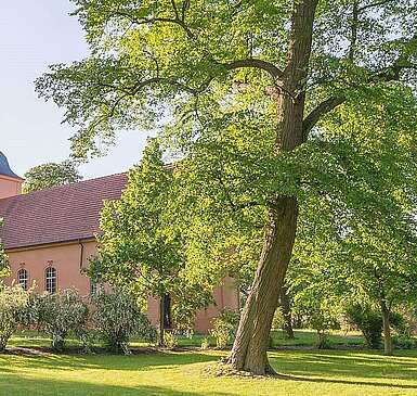 Auf den Spuren von Fontane in Ribbeck und Paretz