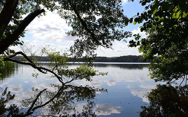 Naturpanorama Wolletzsee