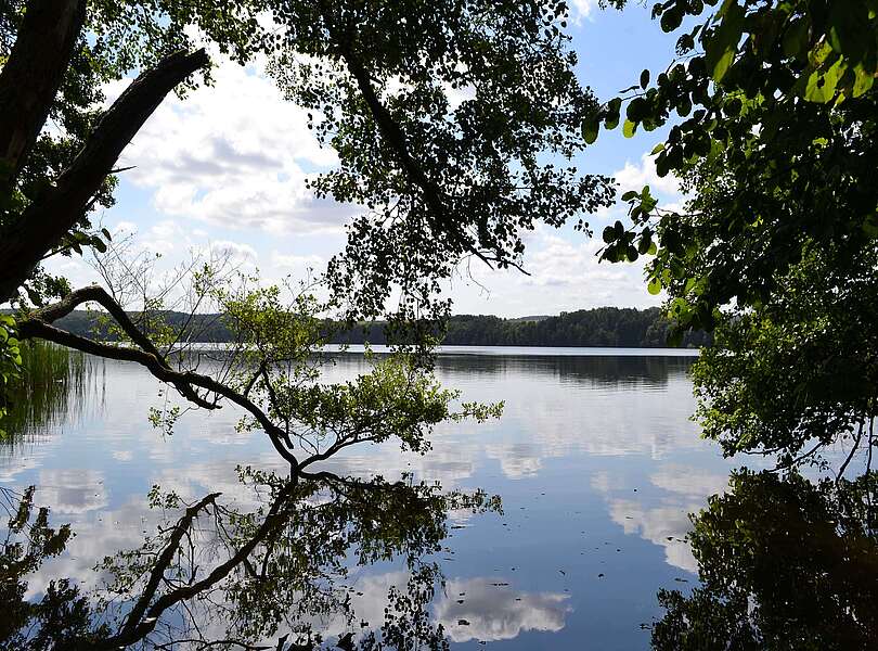 Naturpanorama Wolletzsee