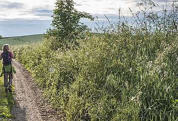 Wandern in der Uckermark