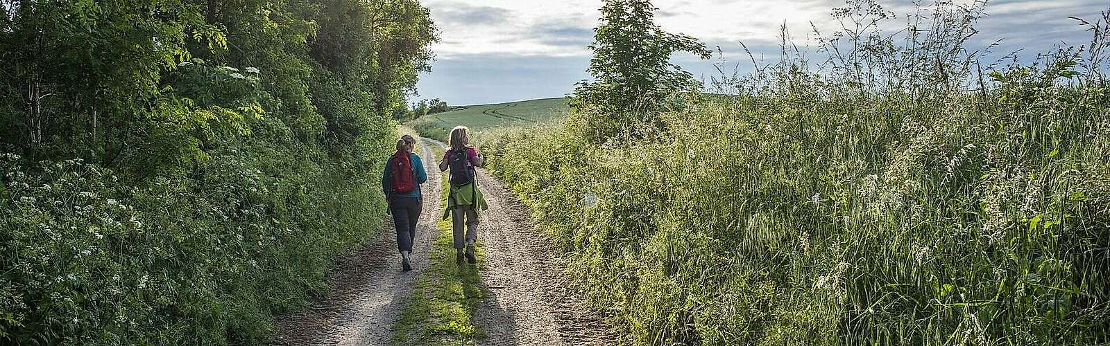 Wandern in der Uckermark
