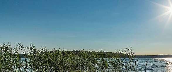 Stechlinsee im Ruppiner Seenland