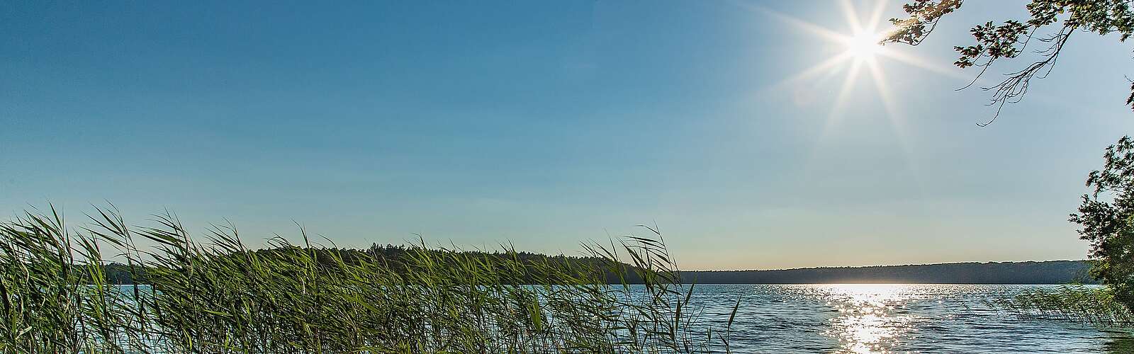 Stechlinsee im Ruppiner Seenland