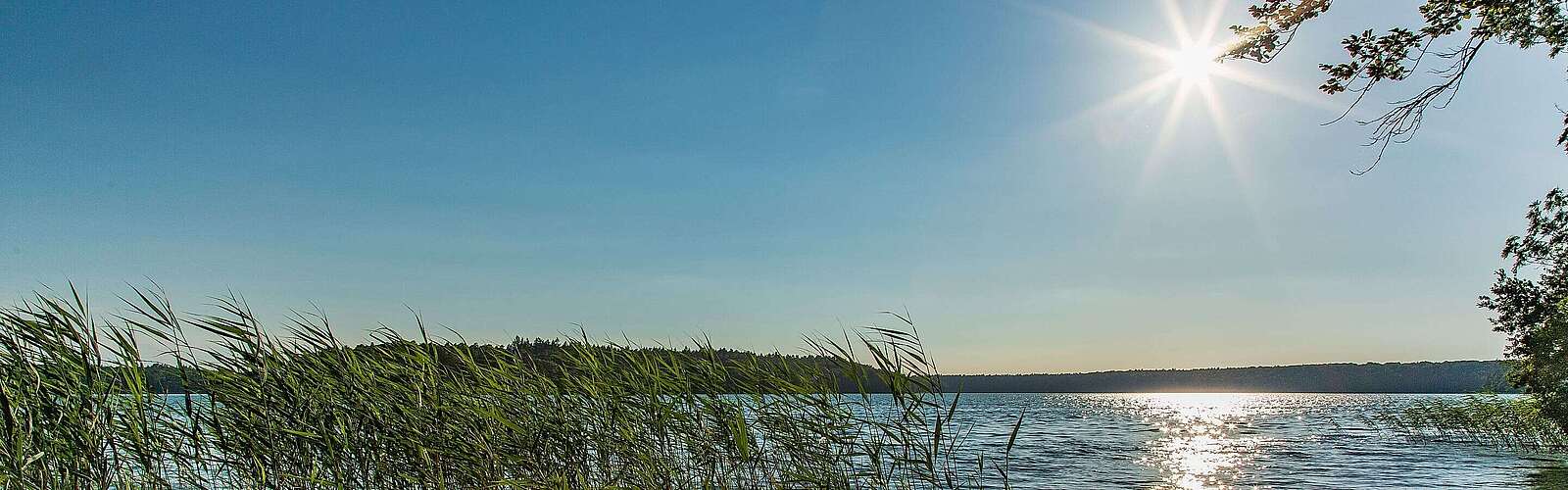 Stechlinsee im Ruppiner Seenland