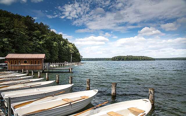 Am Stechlinsee