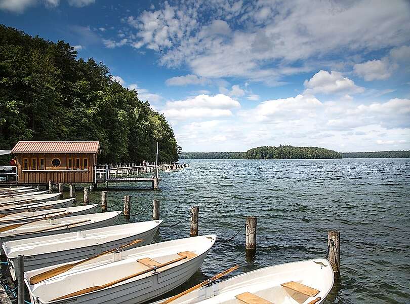 Am Stechlinsee